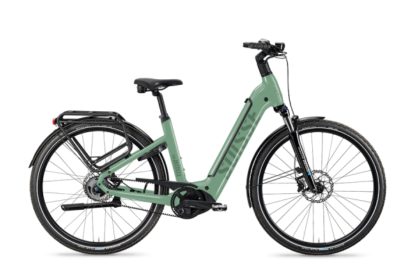 TDS Flair Cues 9G 42cm